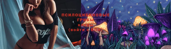 прущая мука Вязники