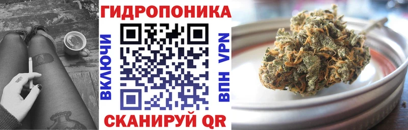 Конопля конопля  где купить наркоту  Новошахтинск 